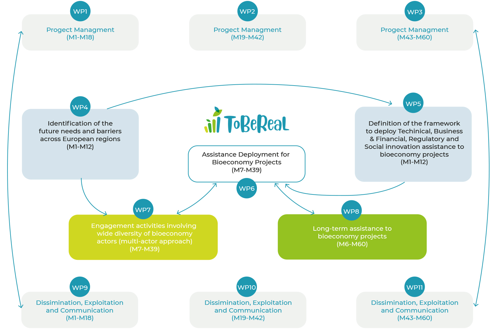 ToBeReaL workplan